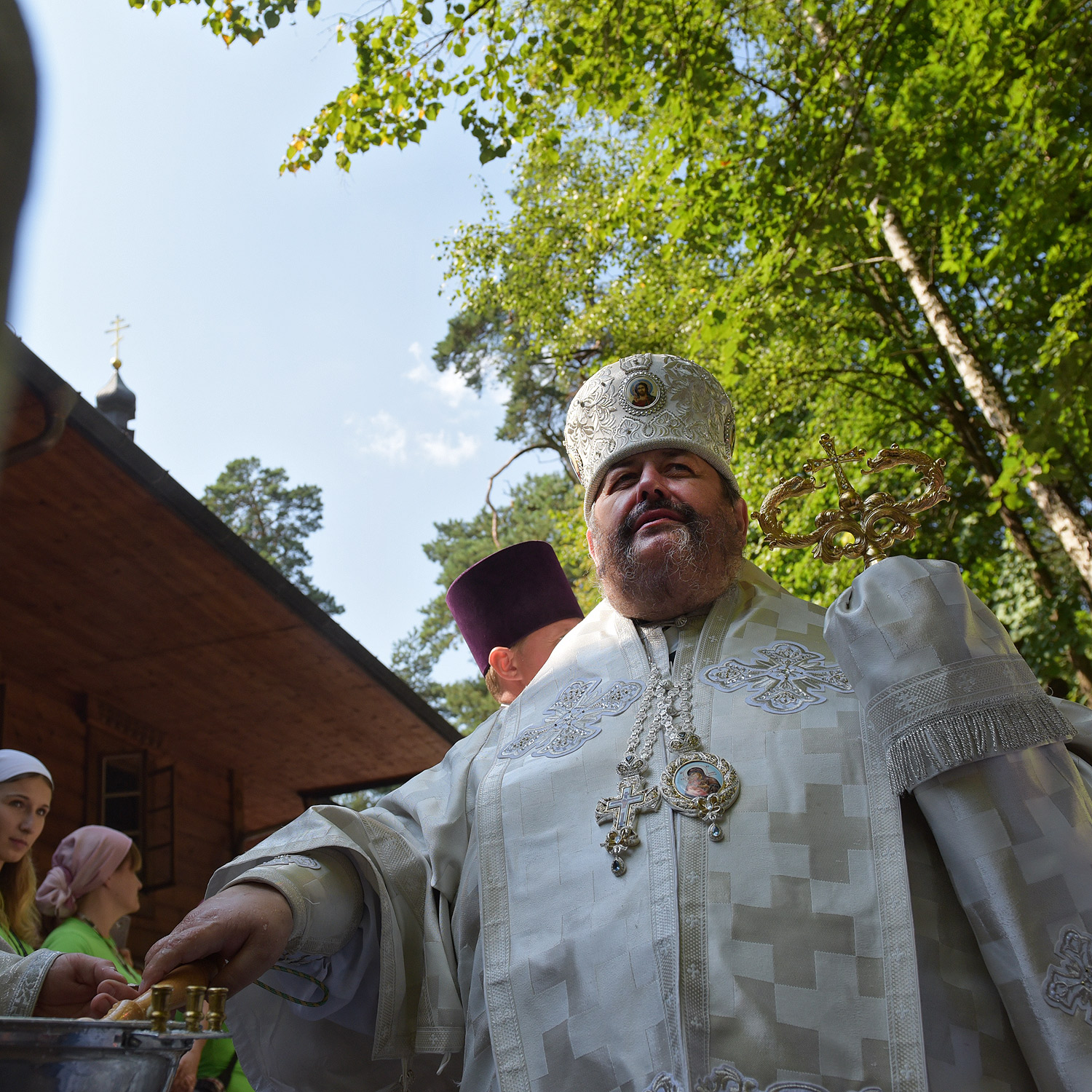 Abp Abel