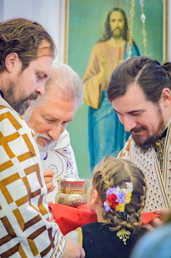 Liturgy with His Grace, Bishop Irinej