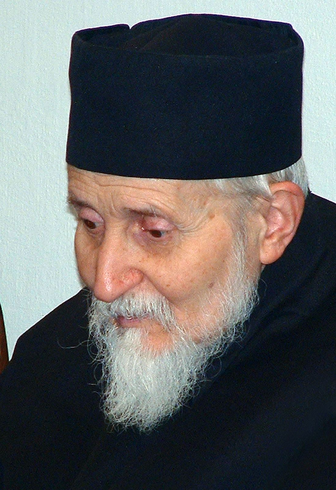 Μητροπολίτης Θεοδωρουπόλεως Γερμανός