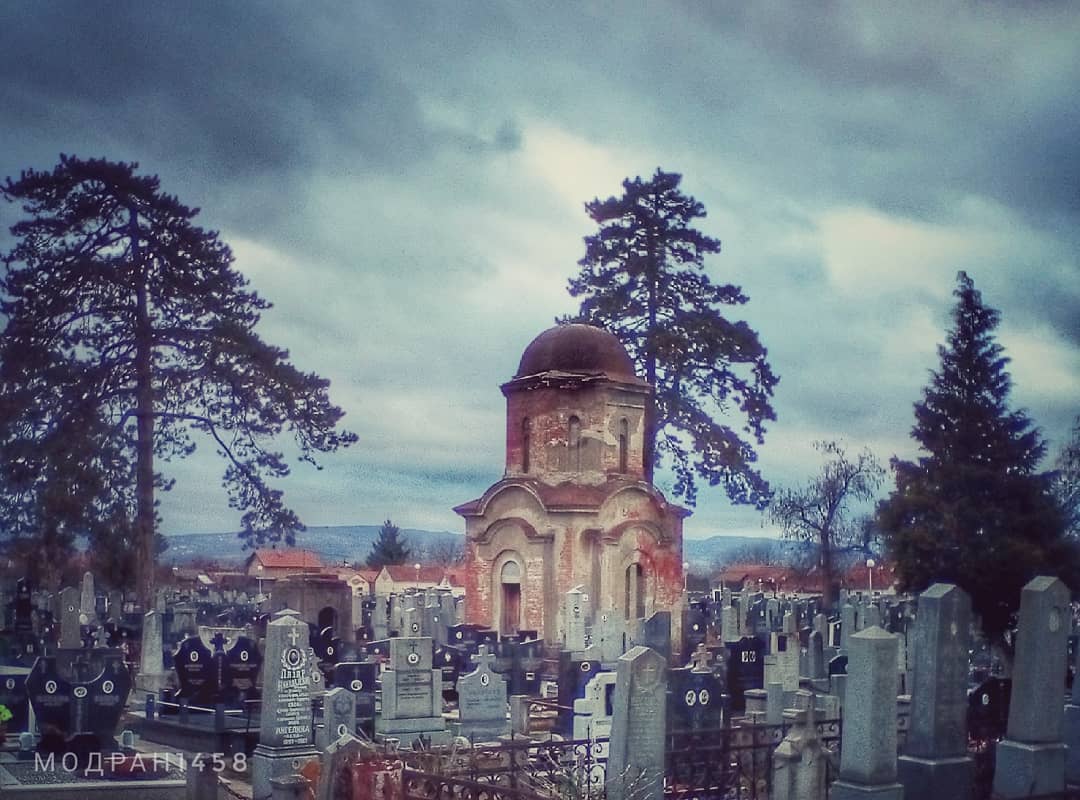 Лозница