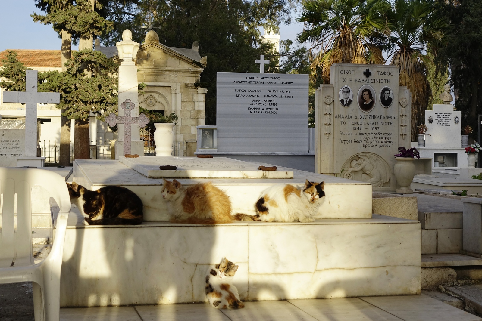 Graves guardians in Larnaca