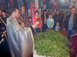joanikije 
Врбица 
2018-03-31 19:14:53