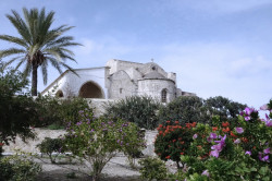 jarek 
St. John the Baptist Monastery 
2018-04-01 21:49:28