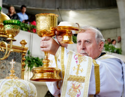 jarek1 
Blessing and elevation of main cross on the roof of Hagia Sophia Orthodox church in Warsaw 
2018-05-19 22:32:32