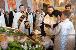 lukasz 
Wł. Paweł (Tokajuk) 
2018-05-23 21:40:49