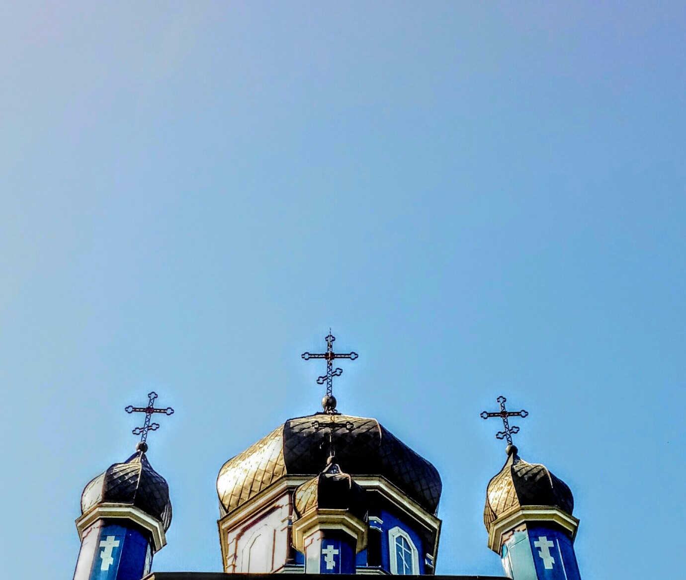 Puchły