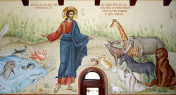 jarek 
Creation of animals 
2018-06-15 08:50:03