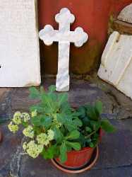 Remarko 
Cross 
2018-06-16 20:18:00