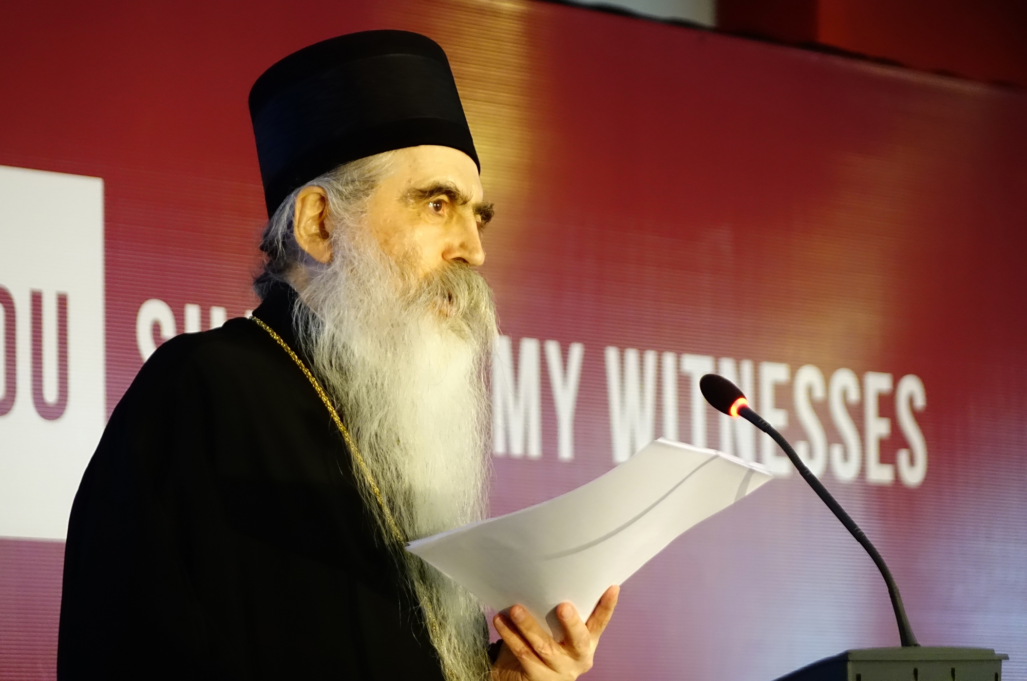Bishop of Baczka Irenej