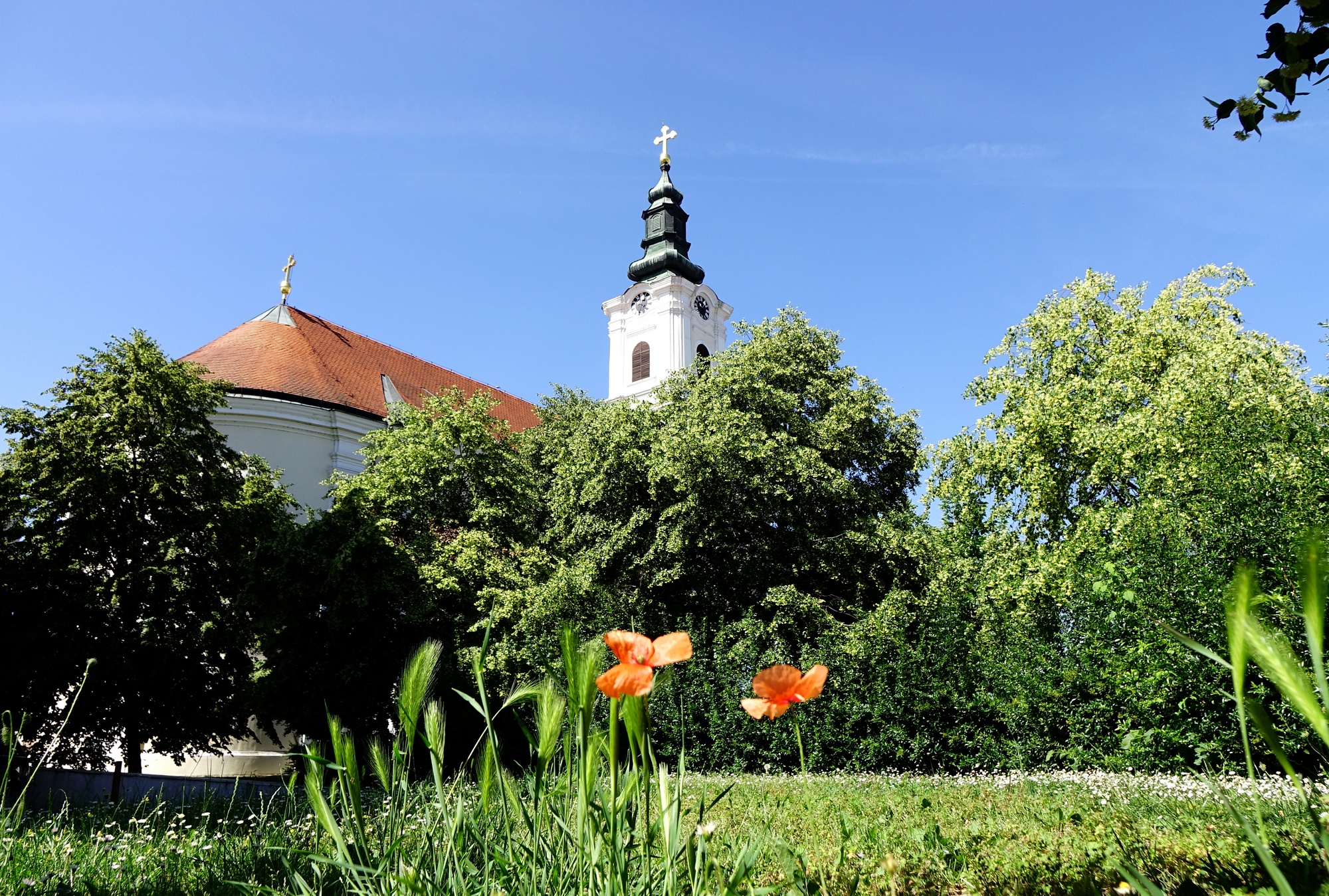 Dormation of the Mother of God Orthodox church in Novi Sad