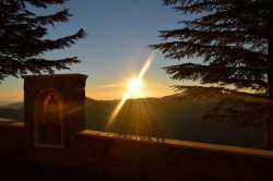 Sheep1389 
Path of saints - Kykkos monastery 
42 
2018-07-05 00:01:14