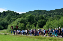 Sheep1389 
Pilgrimage to the Holy Mount Jawor 2017 
2018-07-05 00:07:16