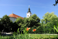 jarek 
Dormation of the Mother of God Orthodox church in Novi Sad 
2018-07-06 22:47:28