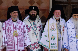 jarek 
Orthodox bishops in Novi Sad 
2018-07-08 23:26:10