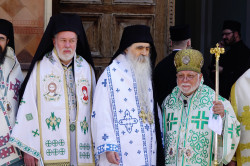 jarek 
Orthodox bishops in Novi Sad 
2018-07-08 23:27:20