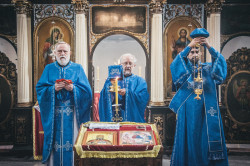 neniortodox 
Priests on Vidovdan 
2018-07-14 10:31:26