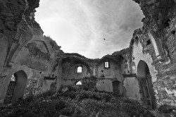 alik 
Agios Andronikos, Kythrea 
2018-07-16 13:11:16