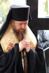 jarek11 
Archbishop Grzegorz 
2018-07-17 07:42:44