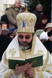 jarek11 
Archbishop Jakub 
2018-07-19 07:50:54