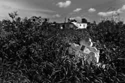 alik 
Occupied Cyprus 
2018-07-21 20:07:14