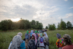 AlexandraP 
В полях, в лугах. Иринарховский крестный ход 
2018-07-27 18:34:08