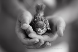 Yanhilen 
In his hands  
42 
2018-08-12 17:20:13