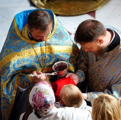 jarek11 
Holy Eucharist 
2018-08-17 13:15:45