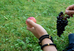 Sheep1389 
Transfiguration set: prayer rope, apple and grapes 
2018-08-26 15:39:12