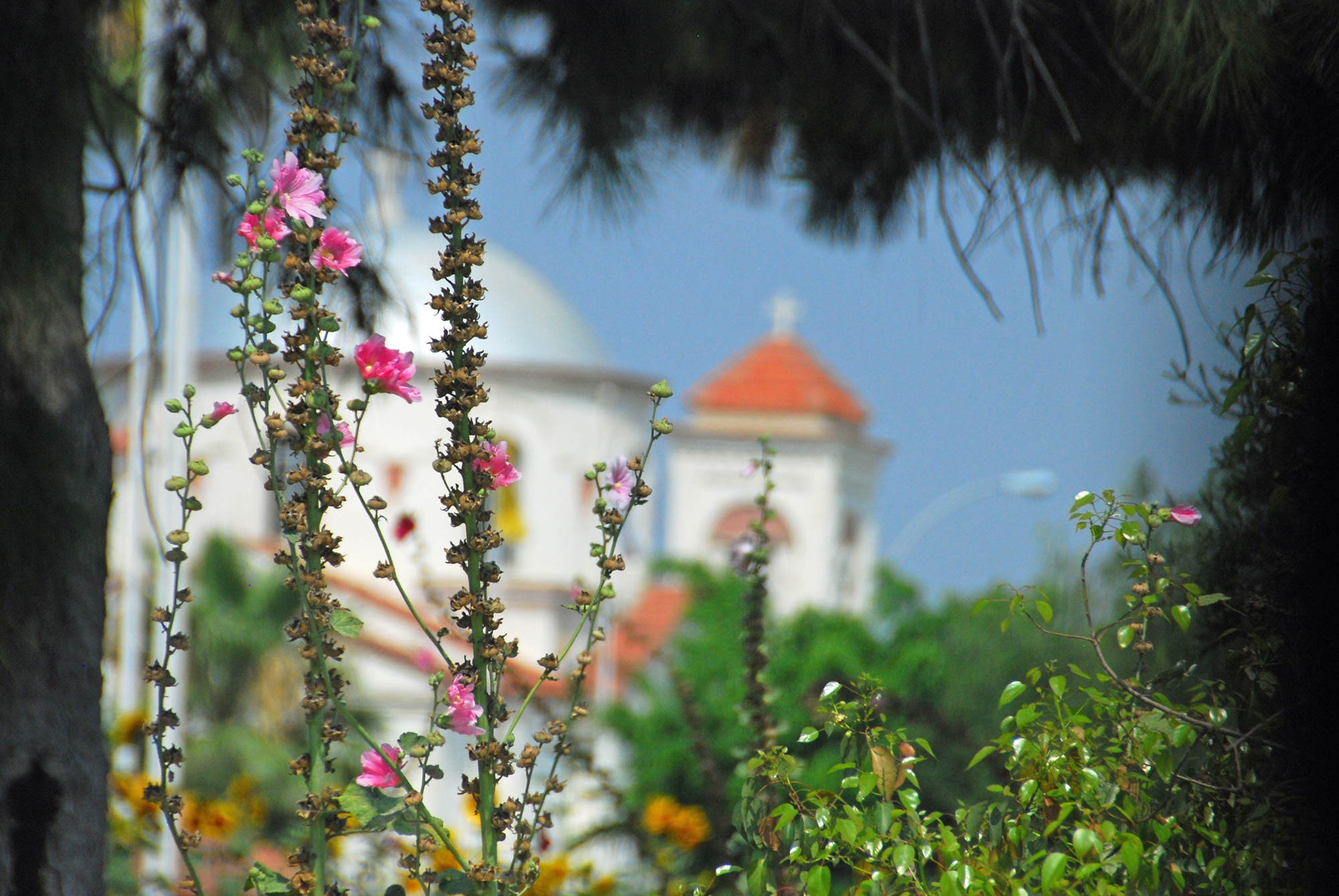 Panagia Faneromeni - Larnaca