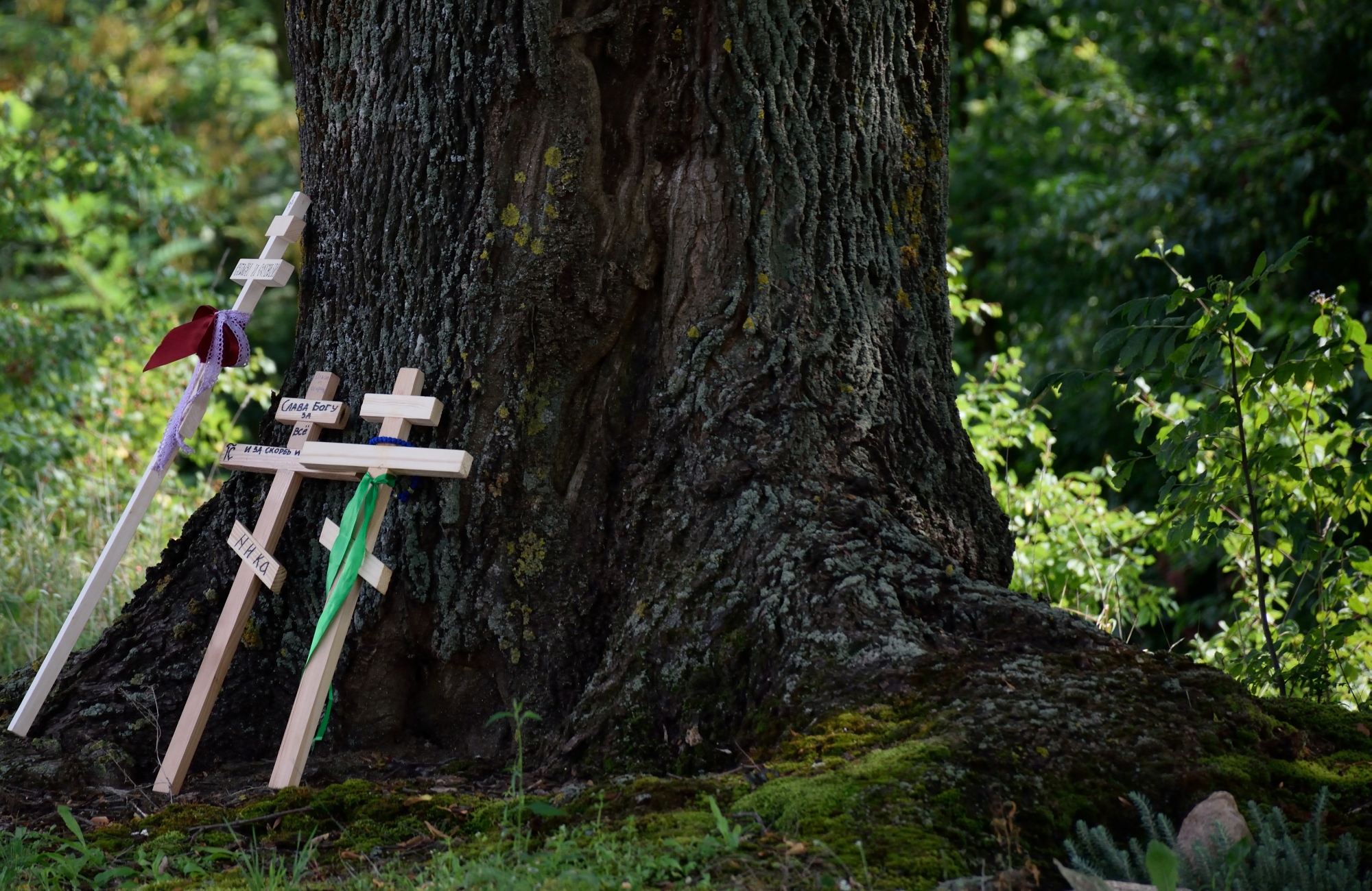 Crosses of the pilgrims to the Holy Mount Grabarka
