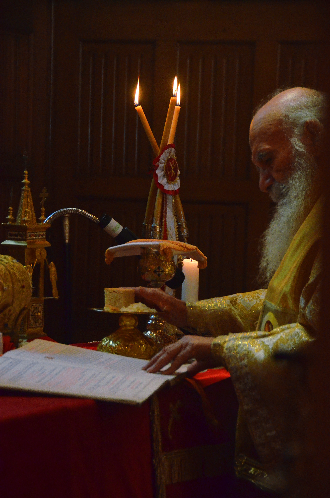 "And make this bread the precious Body of your Christ"