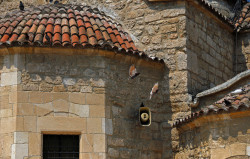Inita 
Agios Lazaros Church 
2018-09-10 21:45:33
