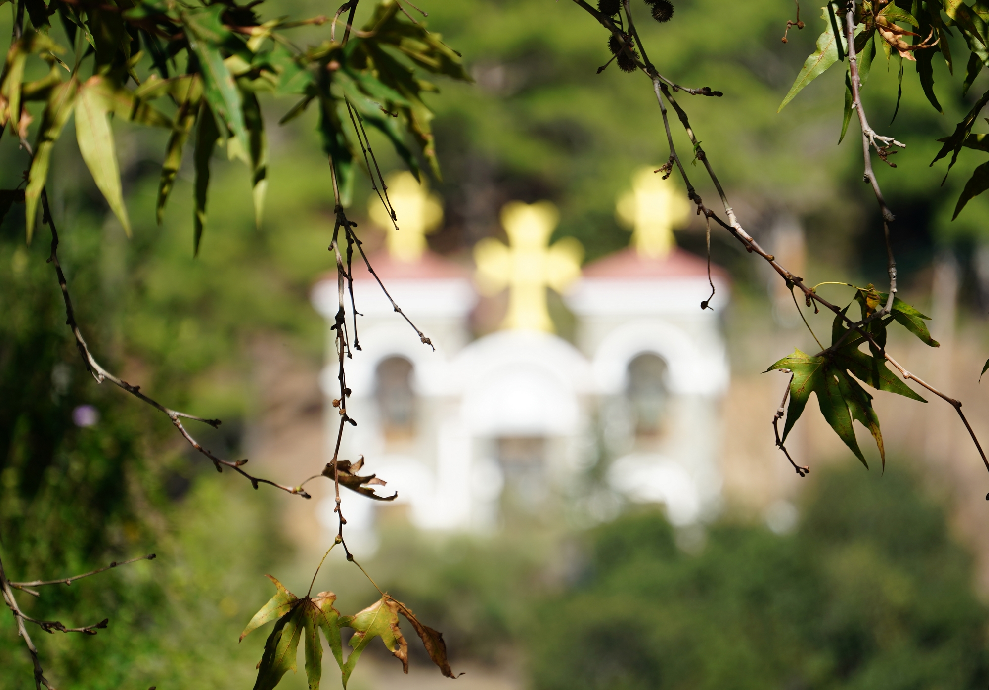 In Kykkos Monastery