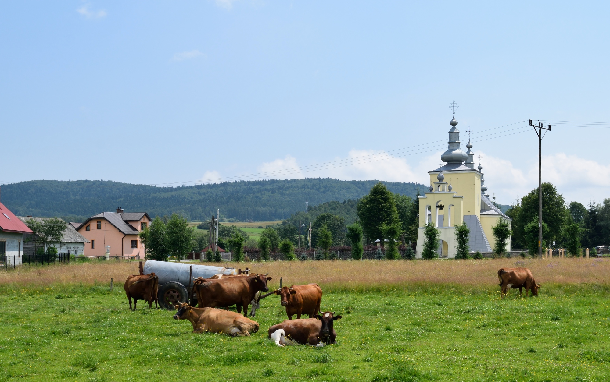 Lemkovina