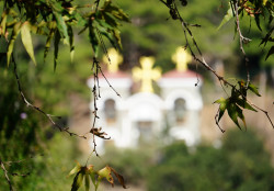 jarek11 
In Kykkos Monastery 
0 
2018-10-03 22:04:32