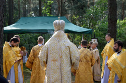 Sheep1389 
Pontifical Liturgy in forest 
2018-10-07 16:37:17