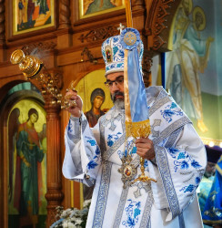 jarek11 
Archbishop Jakub 
2018-10-09 19:44:54