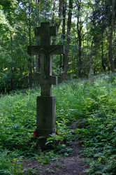 Sheep1389 
Orthodox cemetery in a Lemko expelled village 
2018-10-10 13:04:42