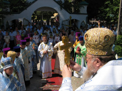 jarek1 
Ryboły, 2005 
2018-10-18 20:08:43