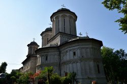 Sheep1389 
Monastery Radu Voda 
2018-10-28 12:43:06