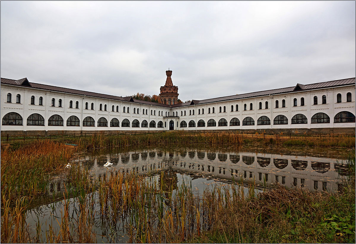 Раскинув крылья