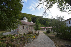 alik 
Ruen Monastery "Sv. Ivan Rilski" 
2018-11-07 20:09:55