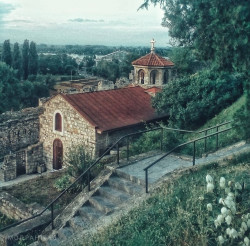 modran1458 
Ружица 
2018-11-08 10:42:51