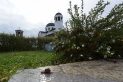 alik 
St. John the Baptist feast in this saint church in Sofia-Obelya 
2018-11-13 14:50:24