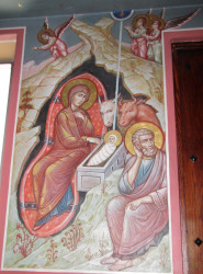 Sheep1389 
Nativity of Christ - OCA metropolitan cathedral 
2018-11-16 11:23:26