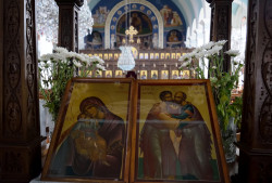 Sheep1389 
Most Holy Theotokos and the apostles of Cyprus 
2018-11-22 13:38:33