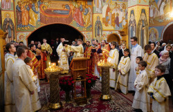 jarek1 
Divine Liturgy in Zwierki Convent 
2018-11-22 18:04:20