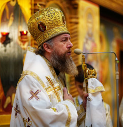 jarek11 
Archbishop Grzegorz 
2018-11-22 18:05:40