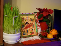 Sheep1389 
Christmas at home, 2016 
2018-12-21 09:08:44