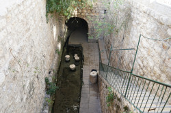 jarek 
The Pool of Siloam. Jerusalem 
2018-12-26 11:23:02